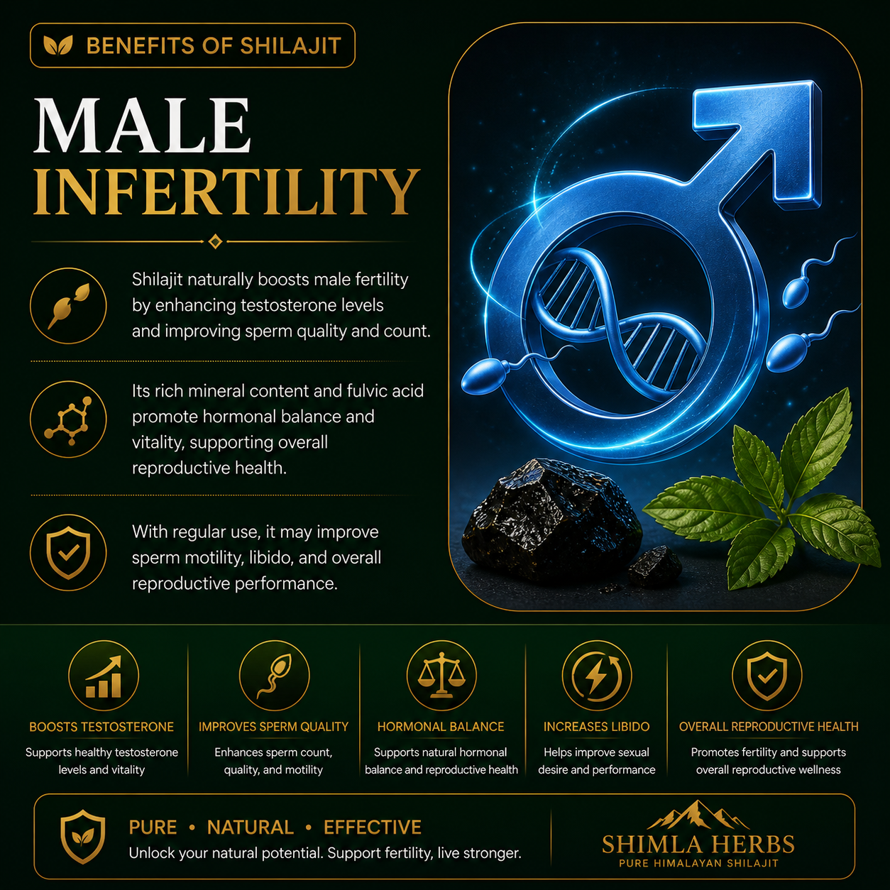 Hormonal Balance Support